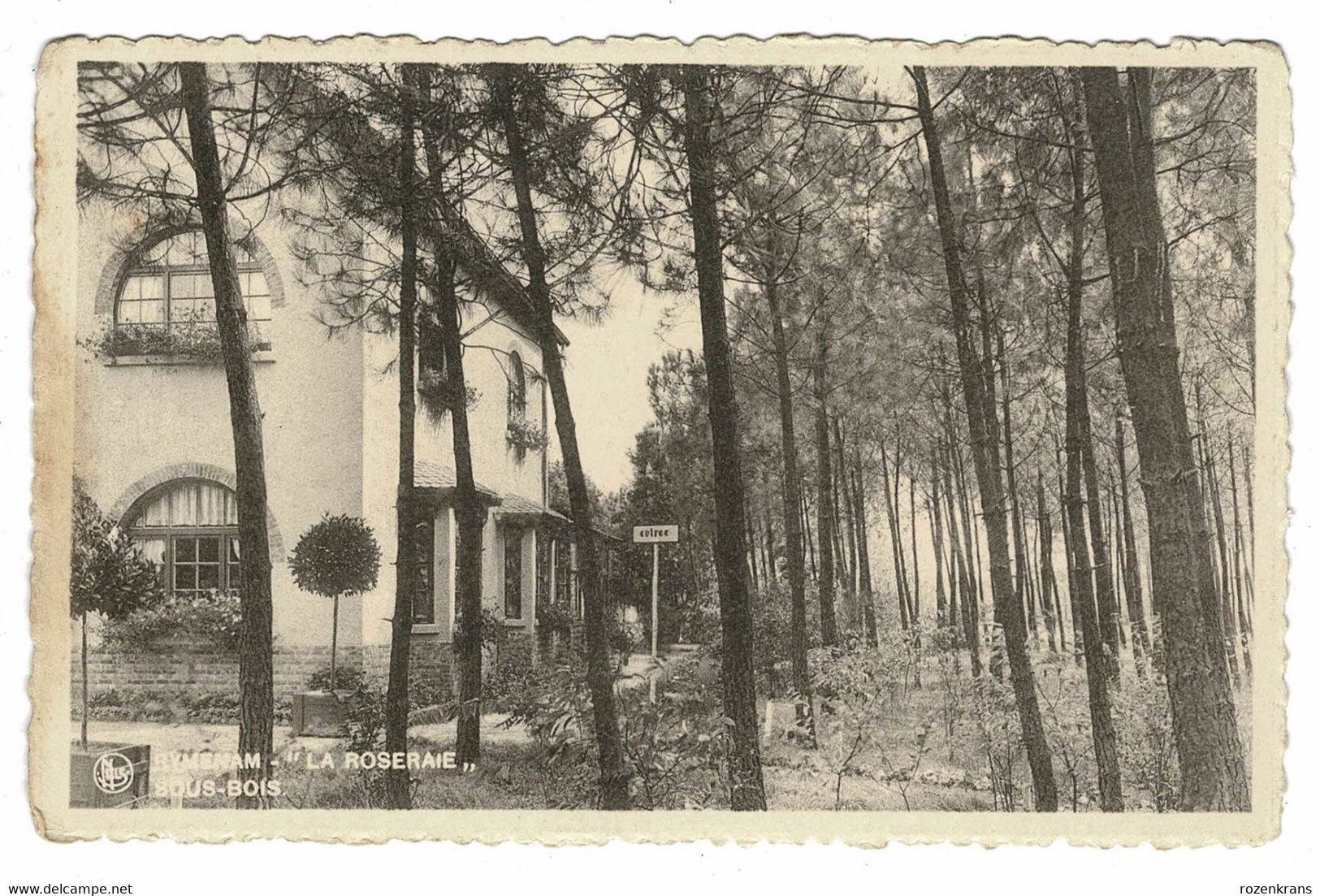 RYMENAM Rijmenam La Roseraie Sous-Bois Bonheiden - Bonheiden