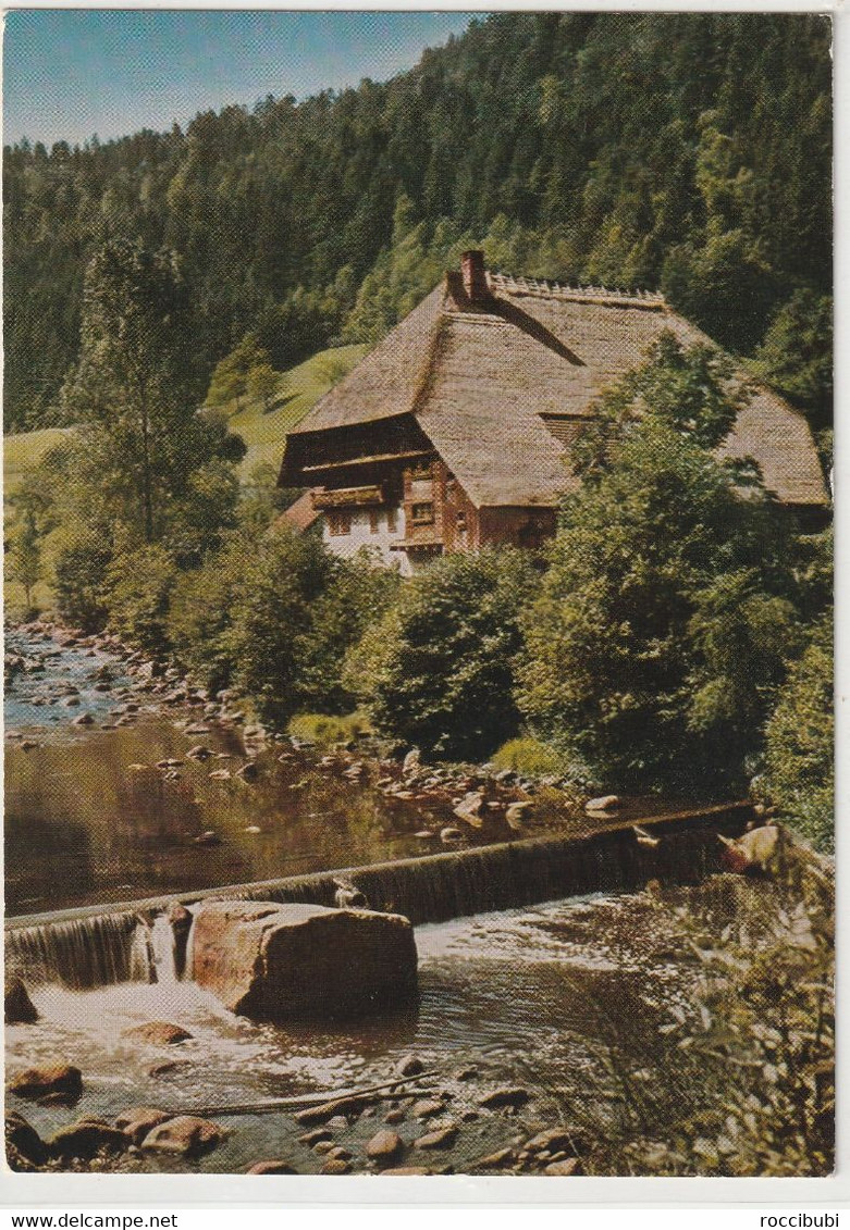 Gutachtal, Bauernhof, Schwarzwald - Gutach (Schwarzwaldbahn)