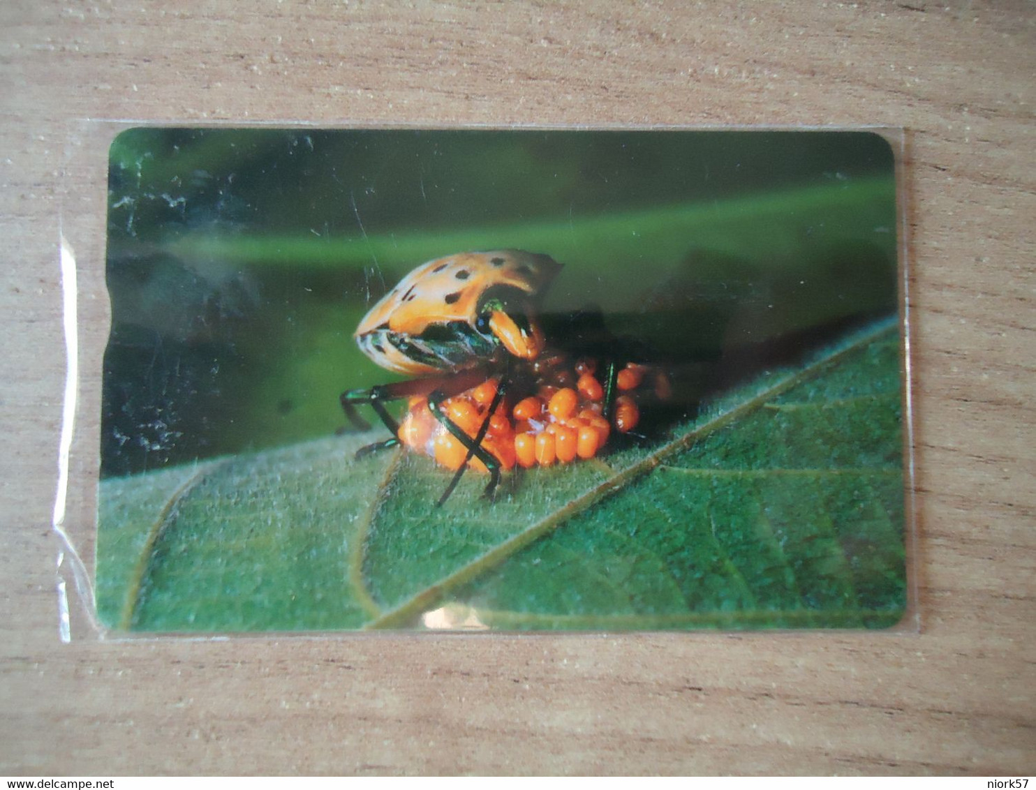 TAIWAN  USED CARDS  INSECTS - Mariposas