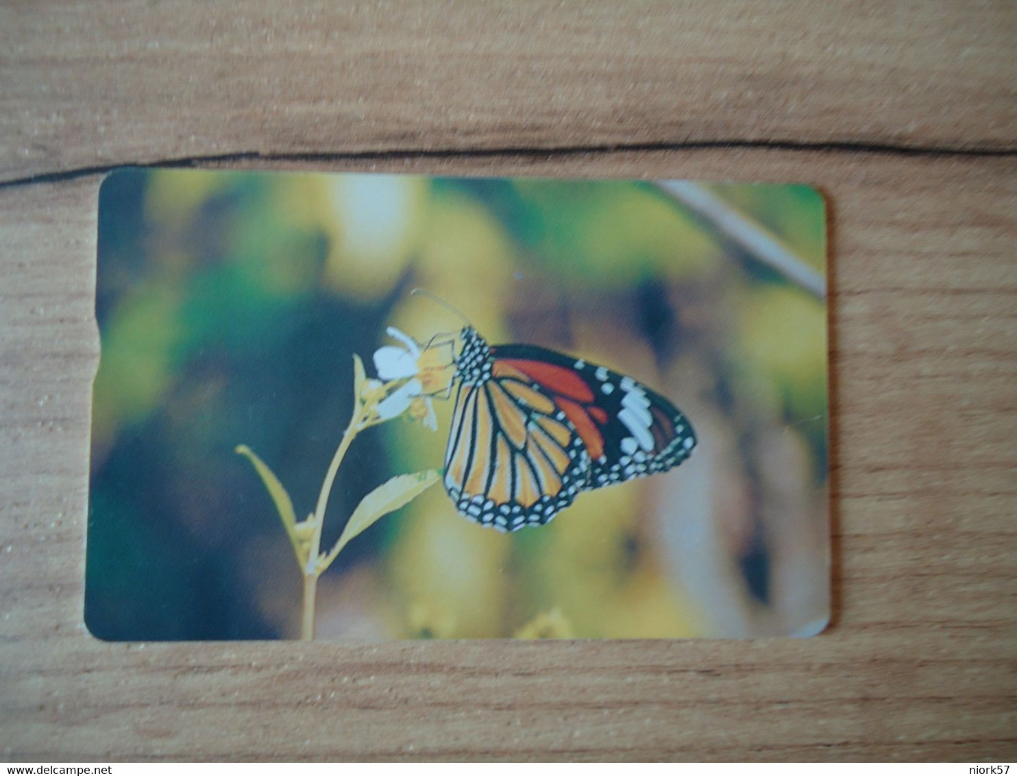 TAIWAN  USED CARDS  INSECTS BUTTERFLIES - Papillons