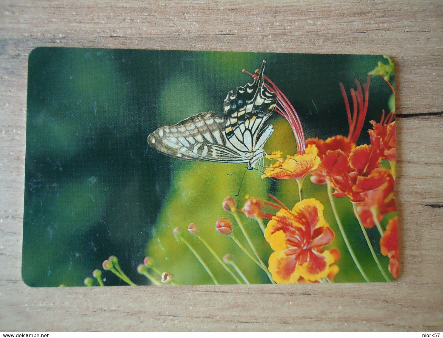 TAIWAN  USED CARDS  INSECTS BUTTERFLIES - Papillons