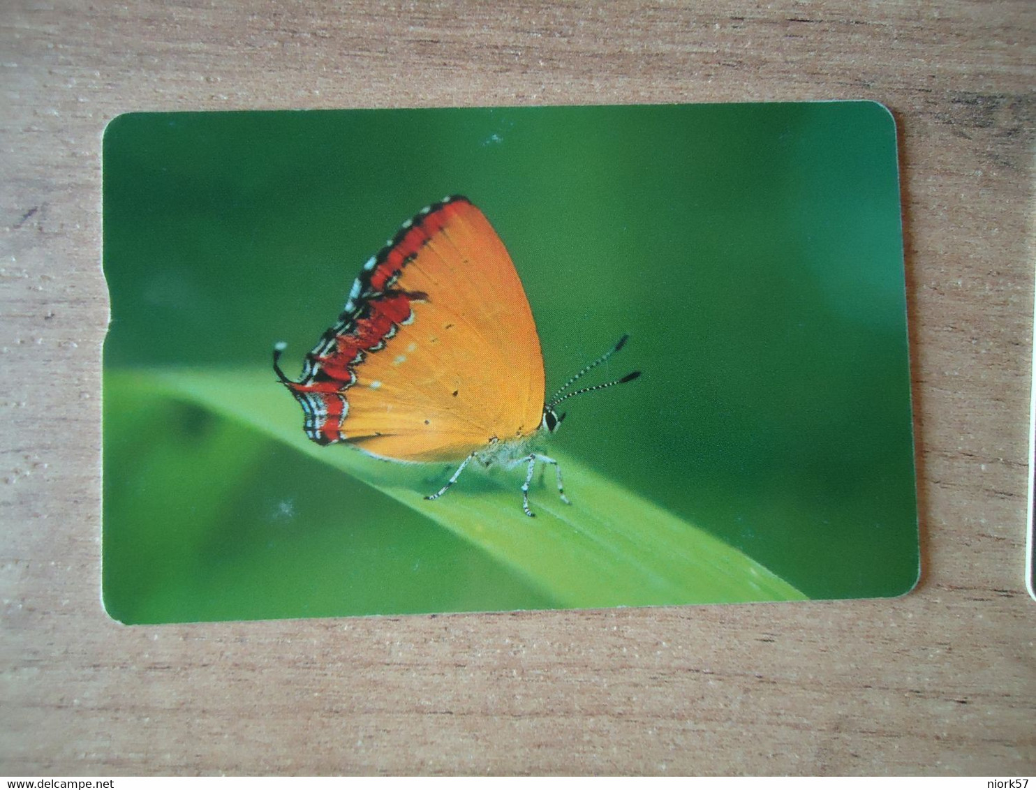 TAIWAN  USED CARDS  INSECTS BUTTERFLIES - Vlinders