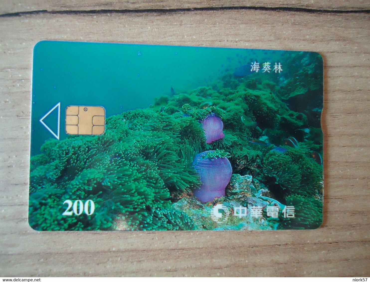 TAIWAN USED CARDS MARINE LIFE FISHES - Fish
