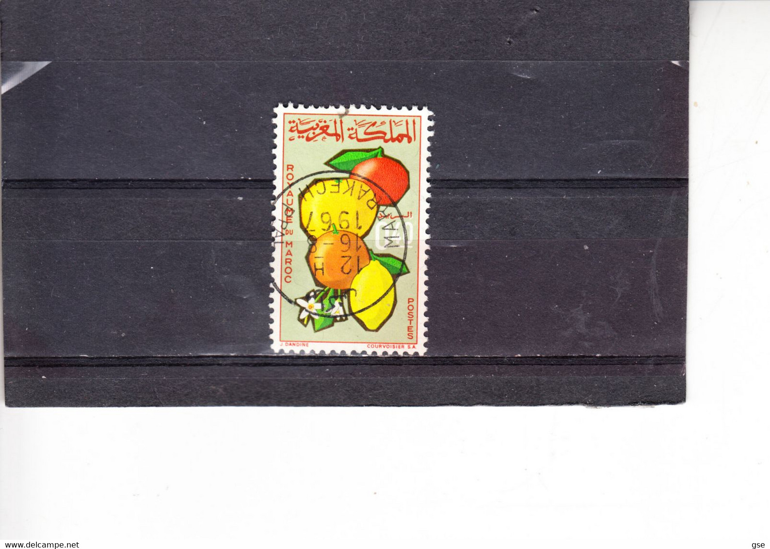 MAROCCO  1966  -  Yvert   509° - Frutta - Morocco (1956-...)