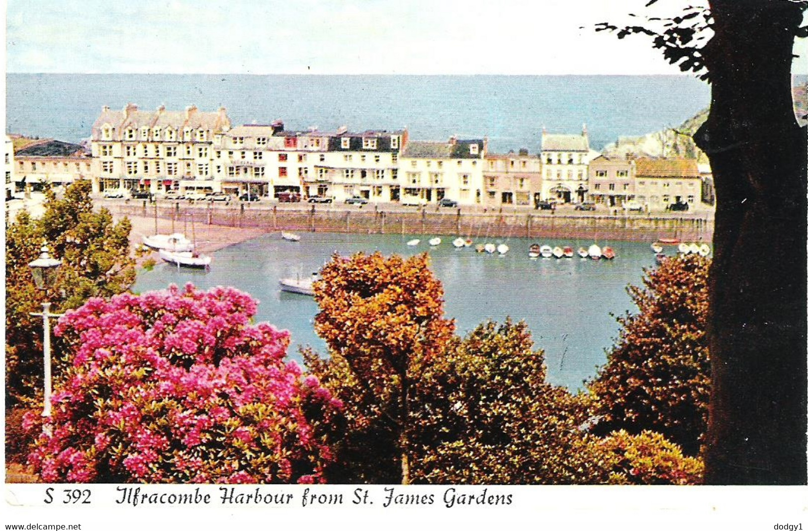 THE HARBOUR, ILFRACOMBE, DEVON, ENGLAND. Circa 1962 UNUSED POSTCARD Kg6 - Ilfracombe