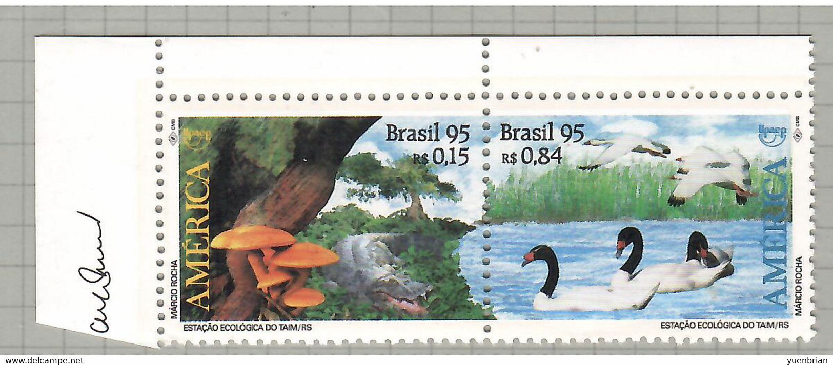 Brazil 1995, Bird, Birds, Swan, Set Of 2v, MNH** - Swans