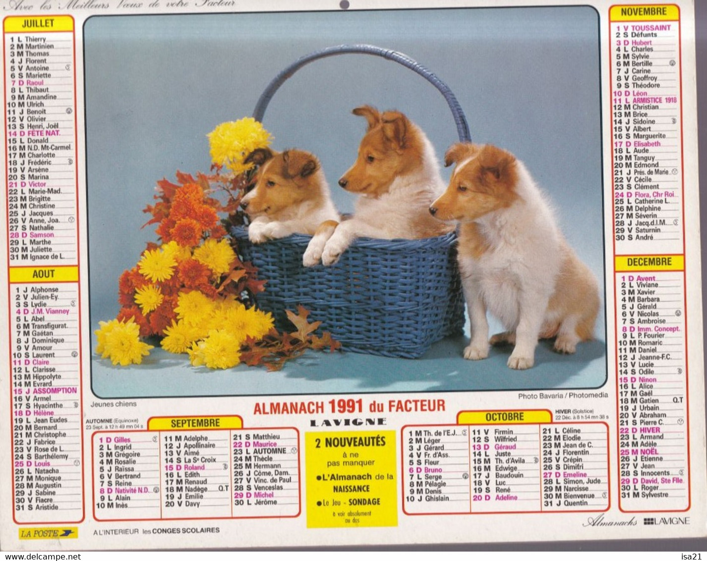 Calendrier Almanach La Poste 2024 Animaux chatons chat