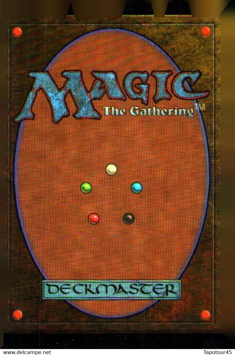 T V 6//01/01)    4 Cartes "MAGIC" > The Gathering  > Deckmaster