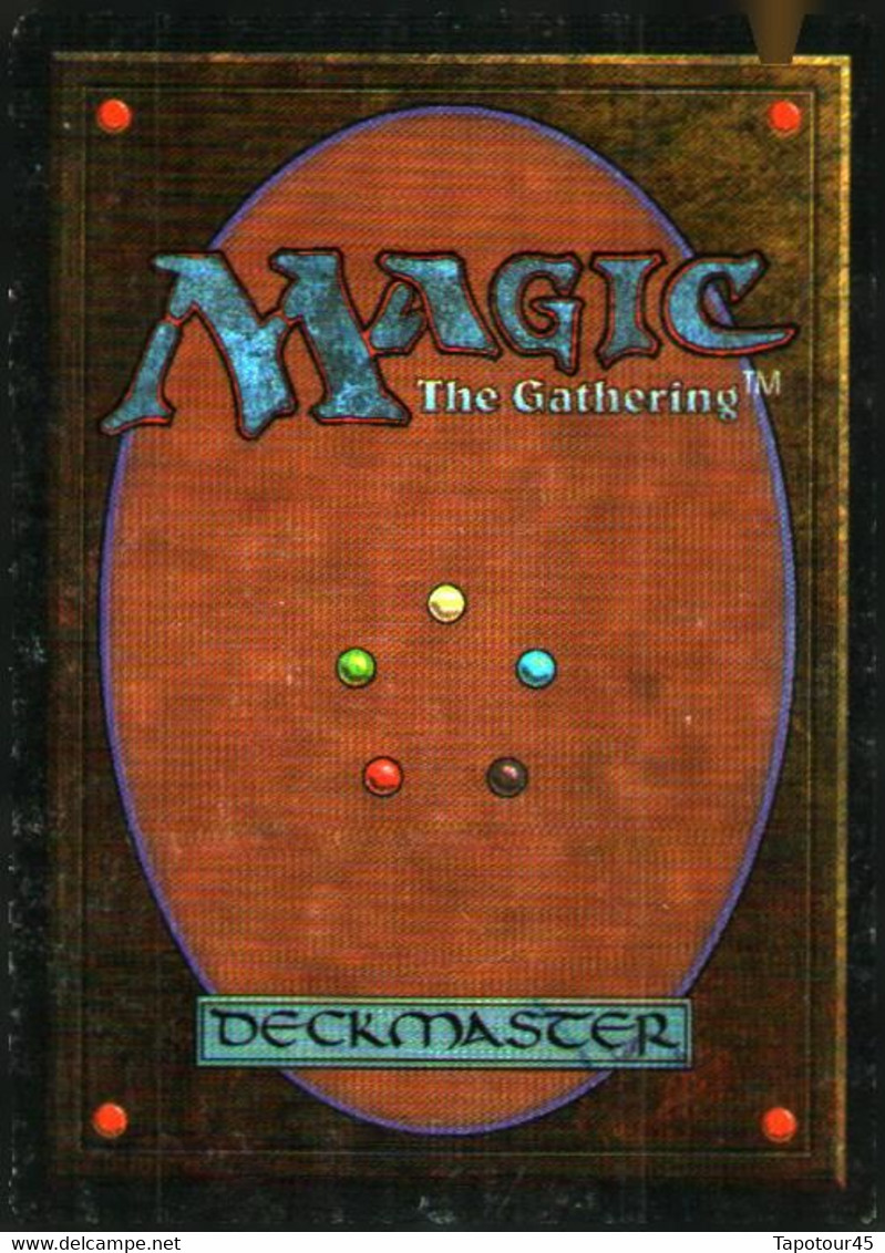 T V 6//01/04)    4 Cartes "MAGIC" > The Gathering  > Deckmaster - Altri & Non Classificati