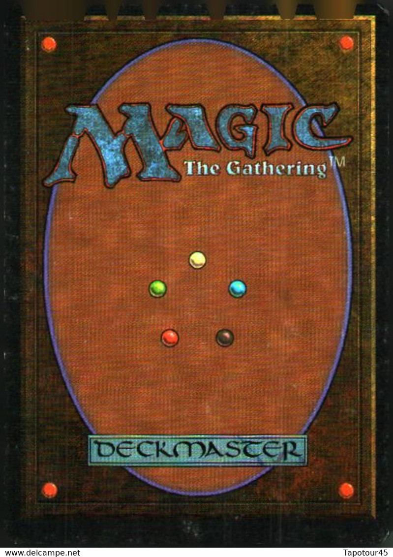 T V 6//01/04)    4 Cartes "MAGIC" > The Gathering  > Deckmaster