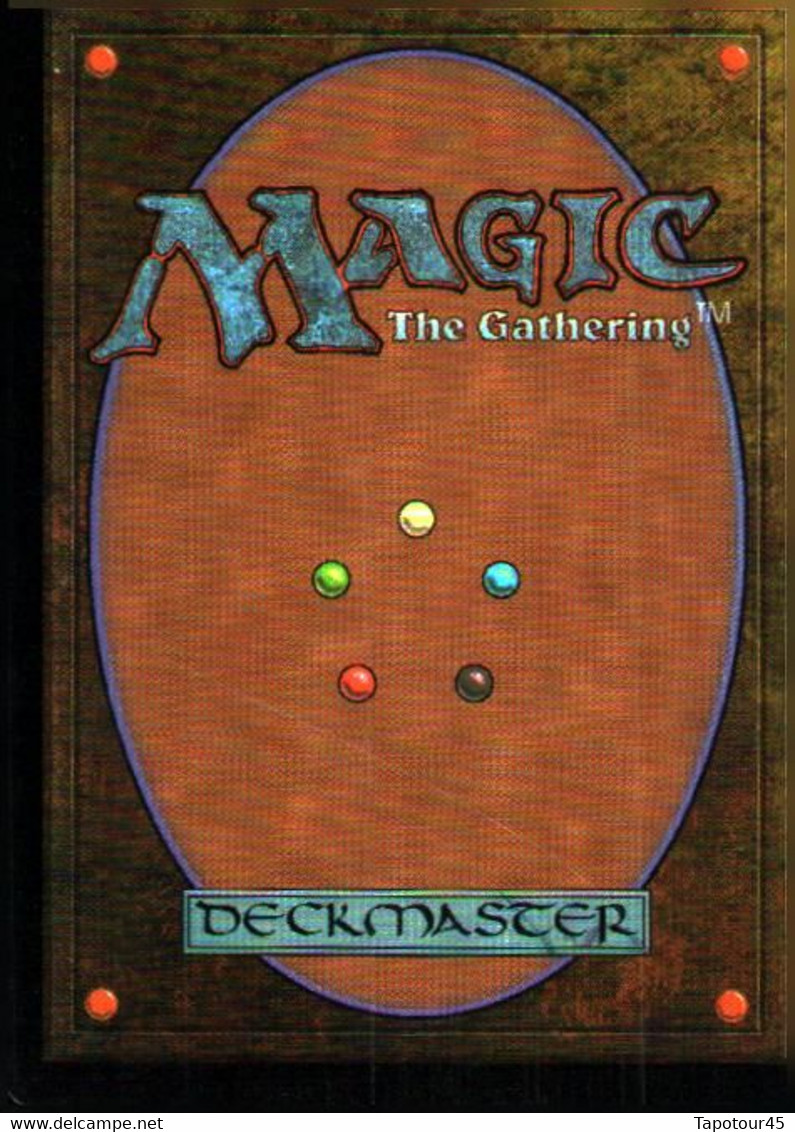 T V 6//01/06)    4 Cartes "MAGIC" > The Gathering  > Deckmaster