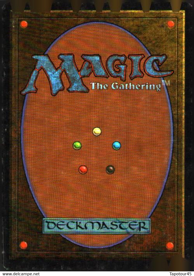 T V 6//01/07)    4 Cartes "MAGIC" > The Gathering  > Deckmaster - Autres & Non Classés