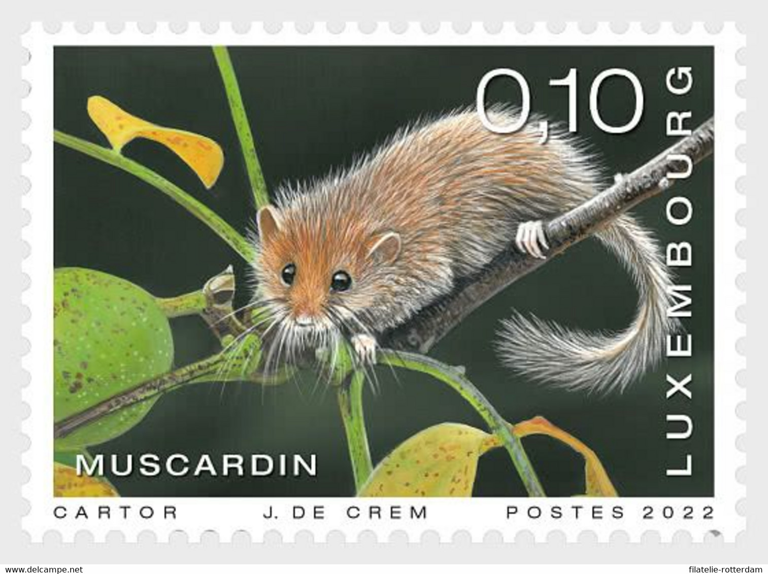 Luxemburg / Luxembourg - Postfris/MNH - Complete Set Zoogdieren 2022 - Unused Stamps