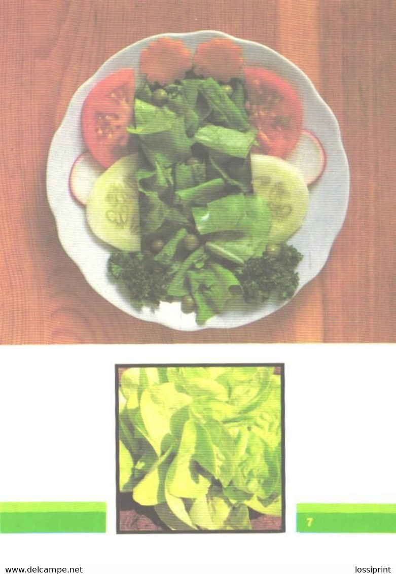 Russian Recipes:Mixed Salad, 1990 - Recettes (cuisine)