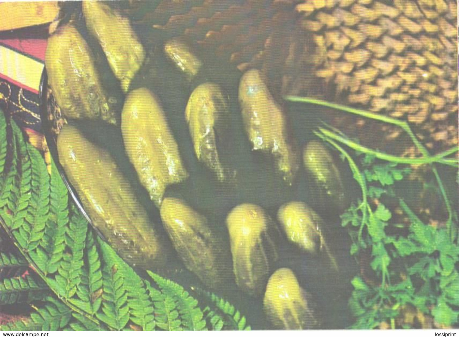 Russian Fish Food Recipes:Salted Cucumbers, 1988 - Küchenrezepte