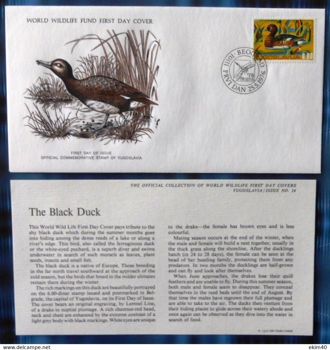 1976 Yugoslavia WWF Stamp First Day Cover ''The Black Duck' No DQ-294 - Andere & Zonder Classificatie