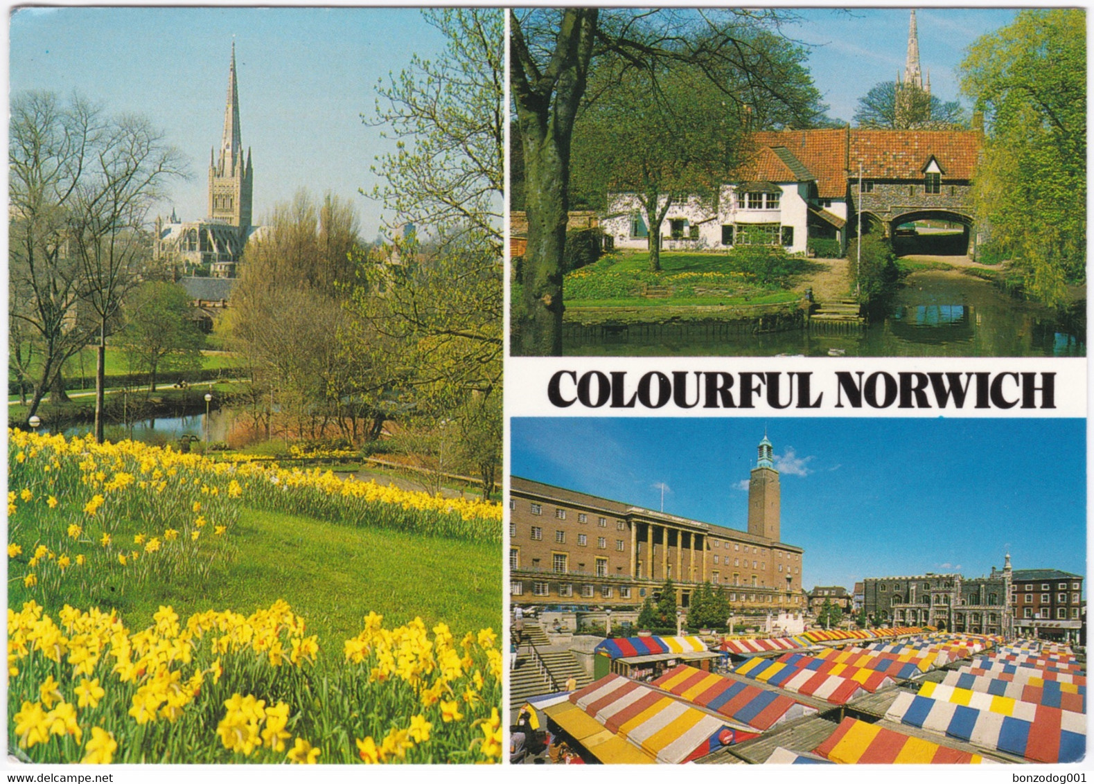 Colourful Norwich, Norfolk Multiview - Norwich