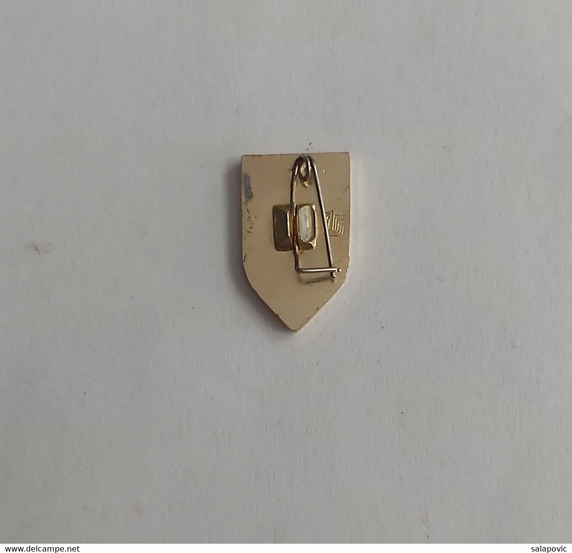 CCCR  Russia Fencing PIN A7/8 - Fencing