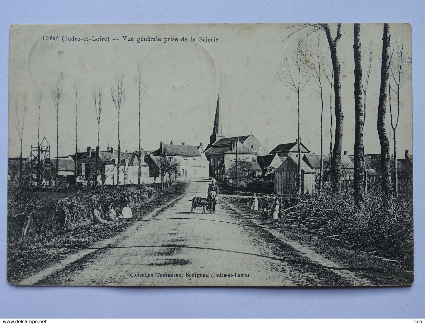 CPA 37 Indre Et Loire - CLERE - Vue Générale Prise De La Scierie - Cléré-les-Pins