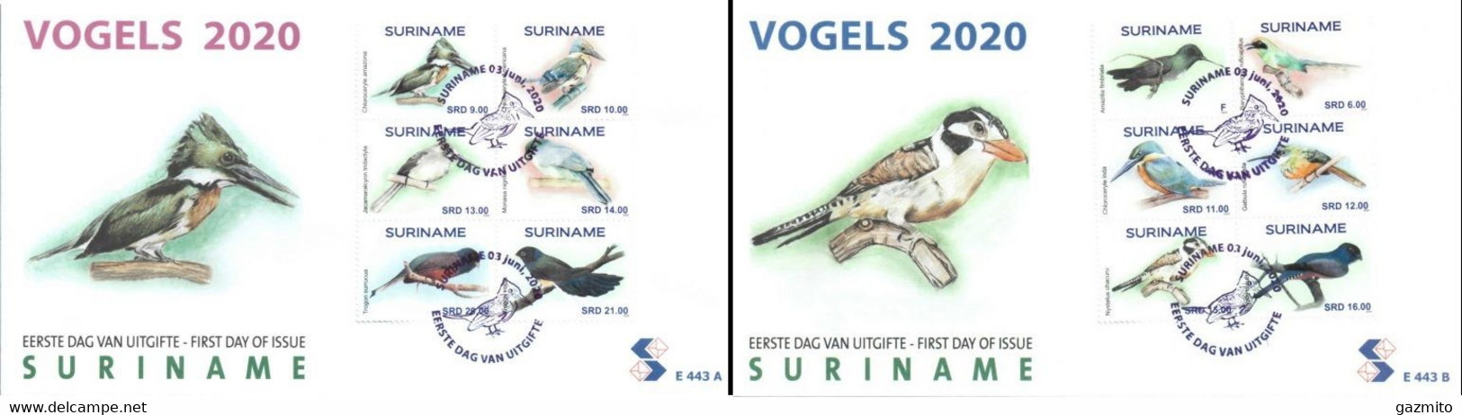 Suriname 2020, Birds, Kingfisher, Parrot, Tropical, 12val  In 2FDC - Pappagalli & Tropicali