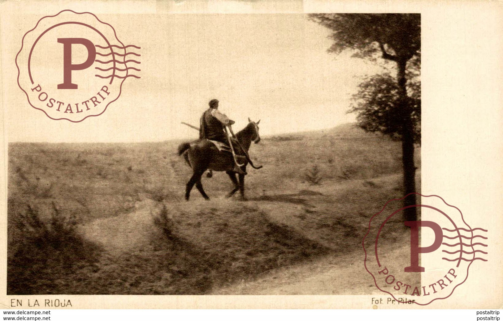 LA RIOJA LOGROÑO LABRADOR A CABALLO ANTIGUA POSTAL. FOTO PRINCESA PILAR DE BAVIERA RARA POSTAL - La Rioja (Logrono)