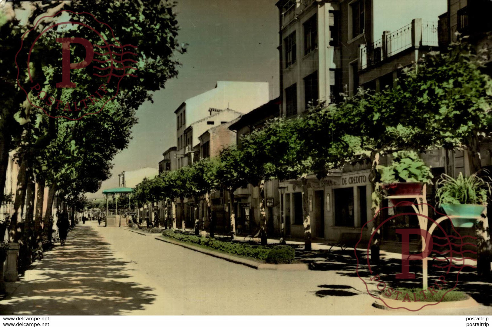 LA RIOJA SANTO DOMINGO DE LA CALZADA AVDA AVENIDA GENERAL FRANCO - La Rioja (Logrono)