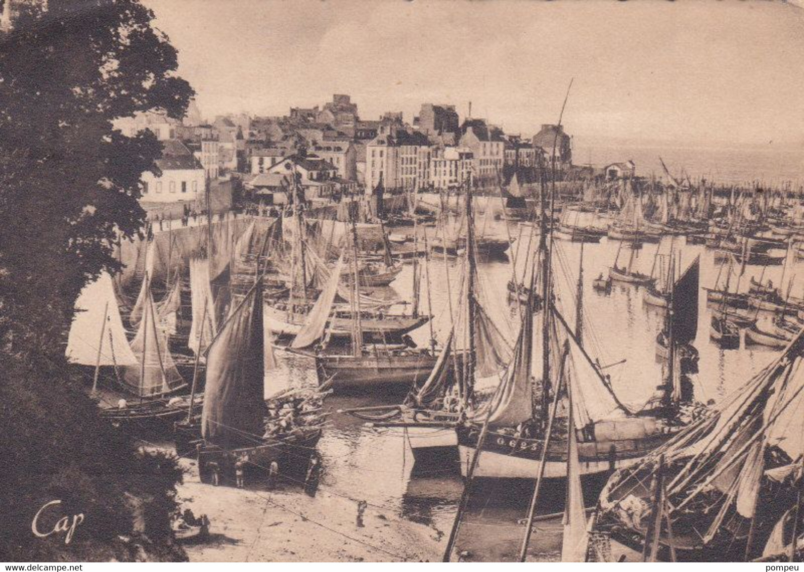 QR - DOUARNENEZ - Le Grand Port Au Retour Des Barques  (neuf) - Douarnenez