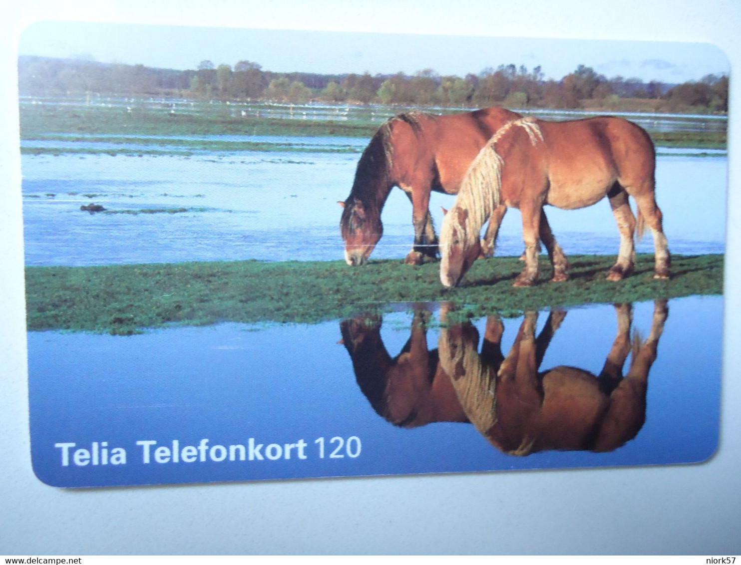 SWEDEN   USED CARDS  HORSES - Chevaux