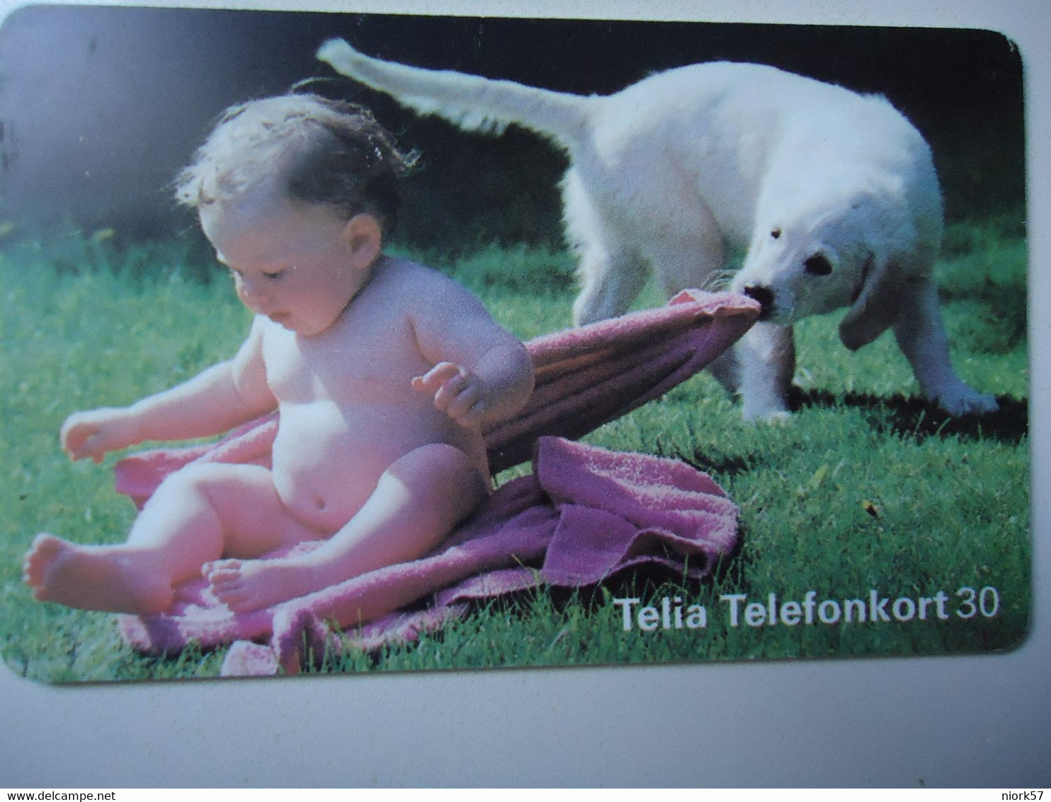 SWEDEN  USED CARDS ANIMALS DOGS   AND CHILDREN - Koeien