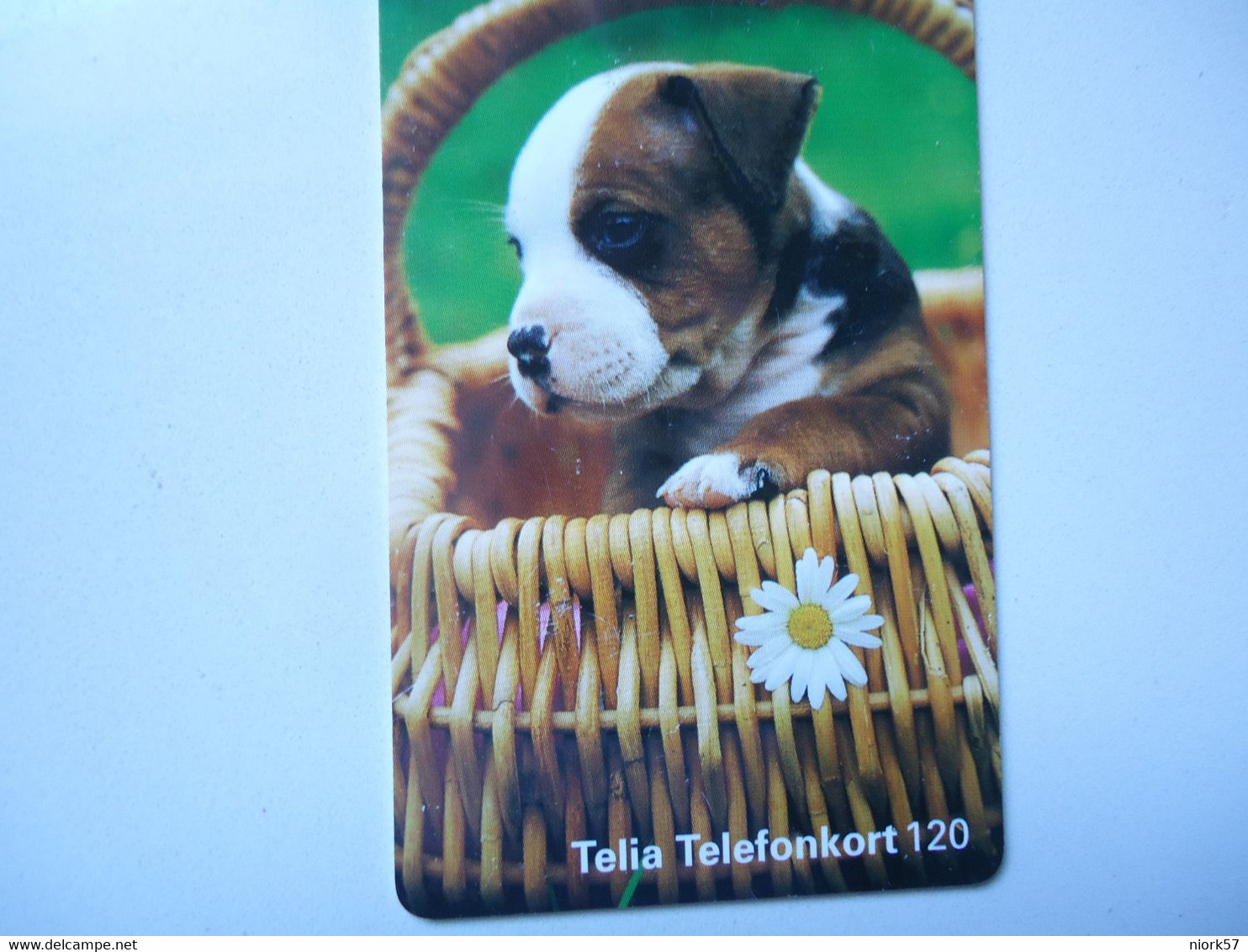 SWEDEN  USED CARDS ANIMALS DOGS - Koeien