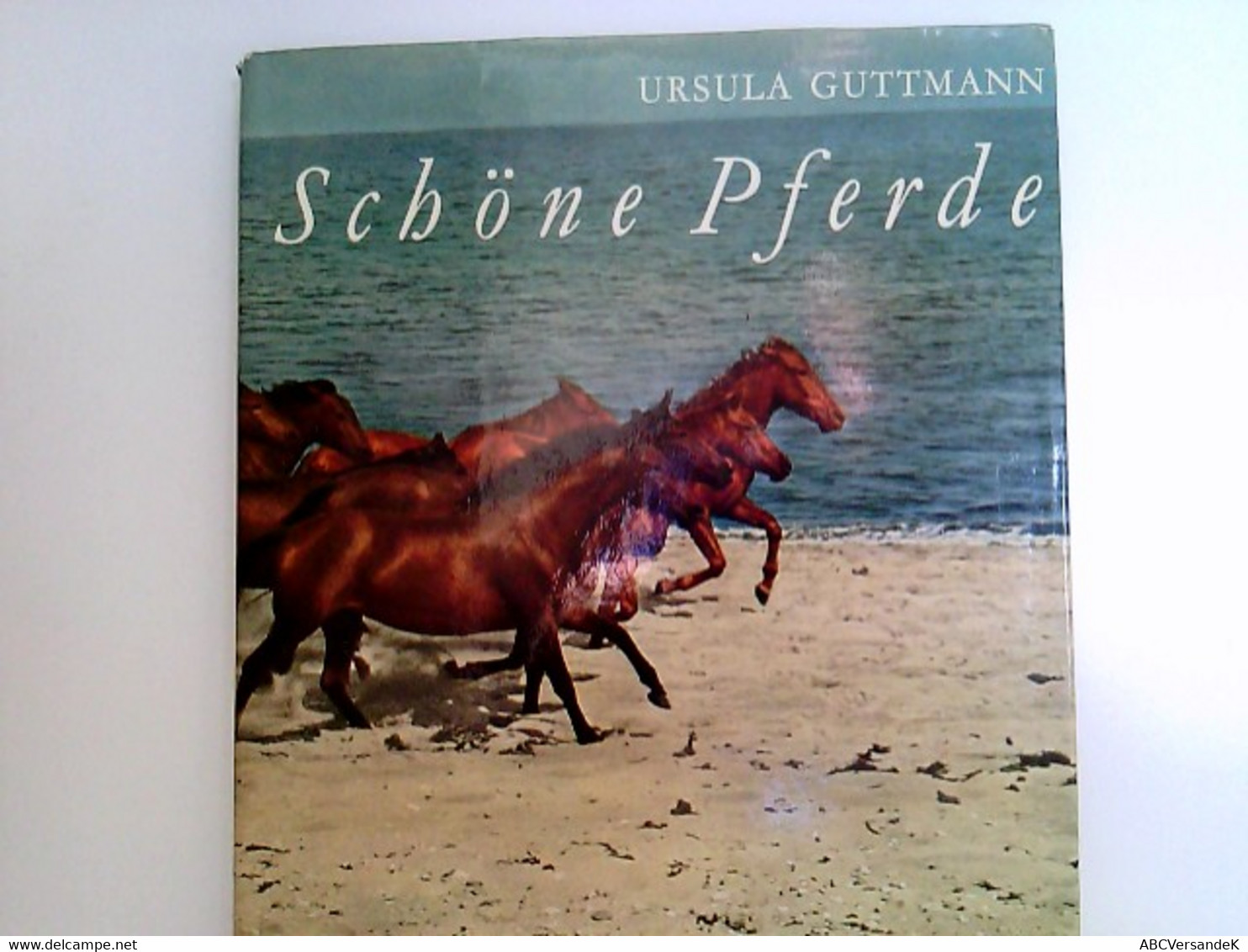 Schöne Pferde. - Animales