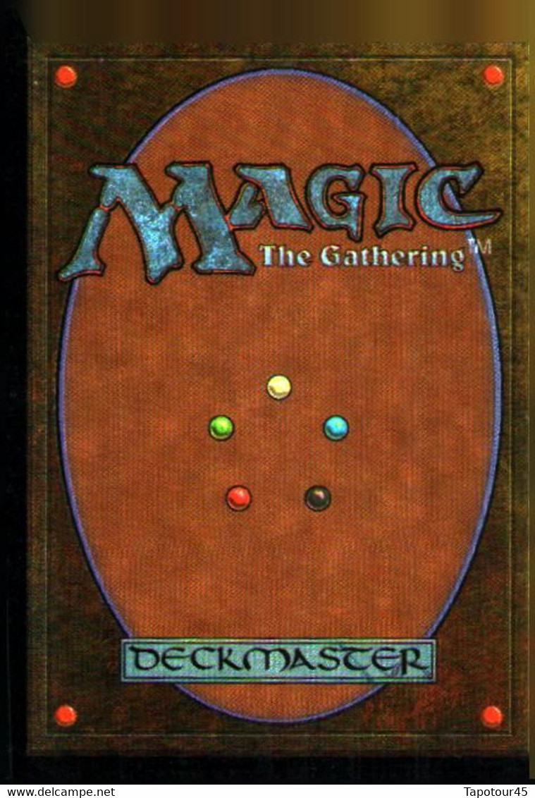 T V 6//01/10)    4 Cartes "MAGIC" > The Gathering  > Deckmaster - Autres & Non Classés