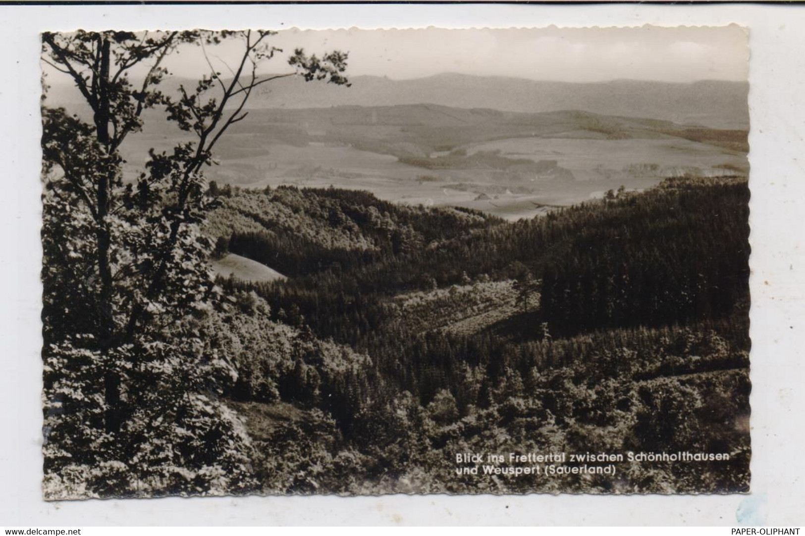 5950 FINNENTROP - WEUSPERT, Blick Ins Frettertal, 1962 - Olpe