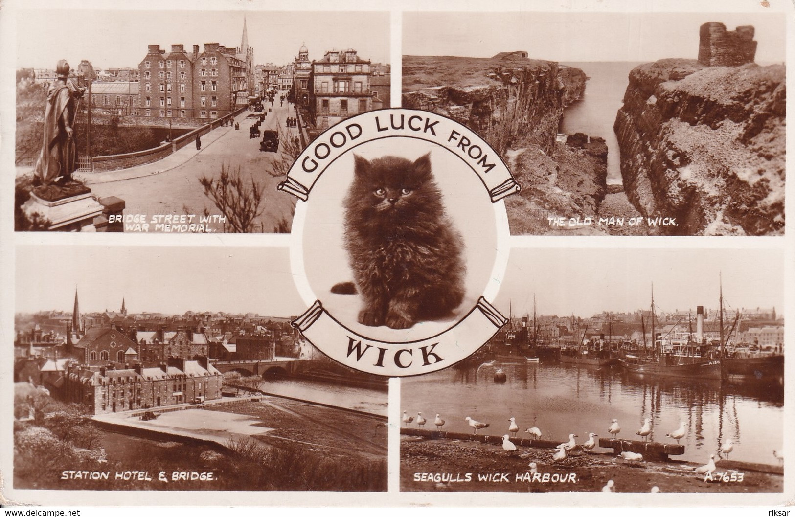 ECOSSE(WICK) CHAT - Caithness