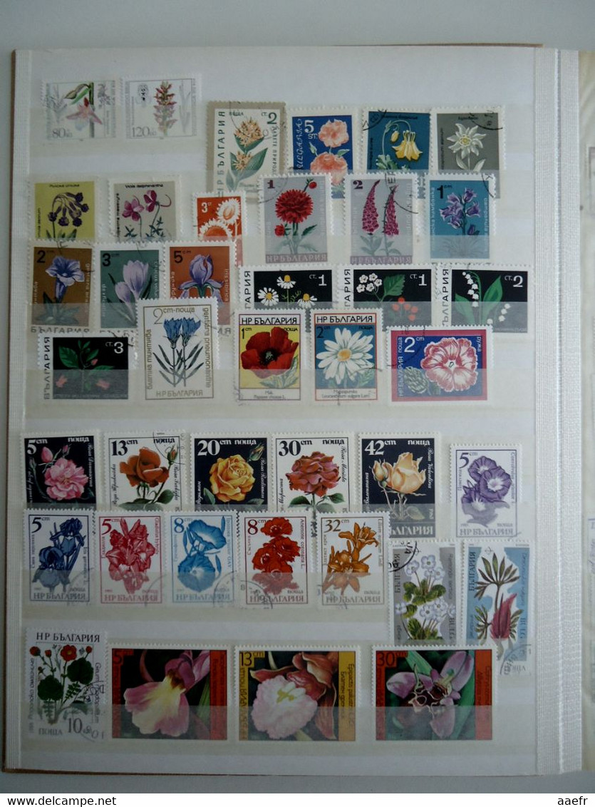 Monde - FLEURS - 1223 Timbres Différents Dans Un Album + 8 Cartes Max + 4 FDC - Collections (with Albums)