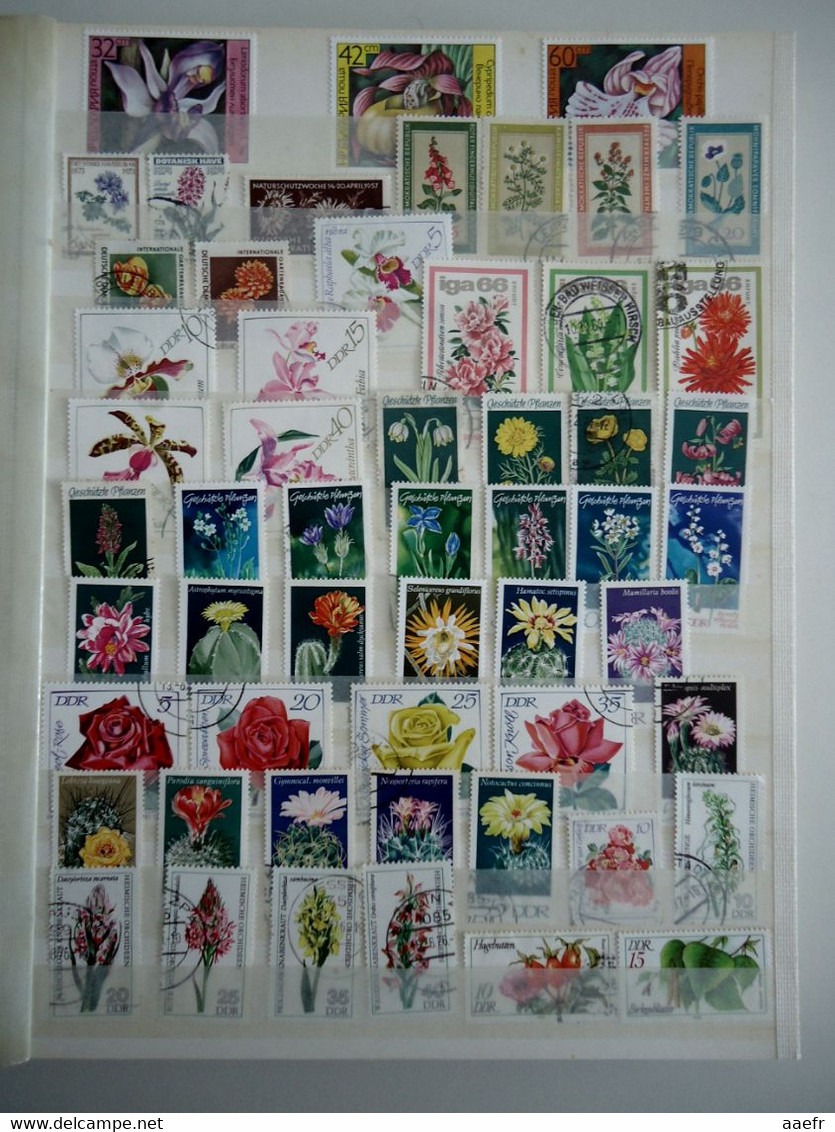 Monde - FLEURS - 1223 timbres différents dans un album + 8 cartes Max + 4 FDC