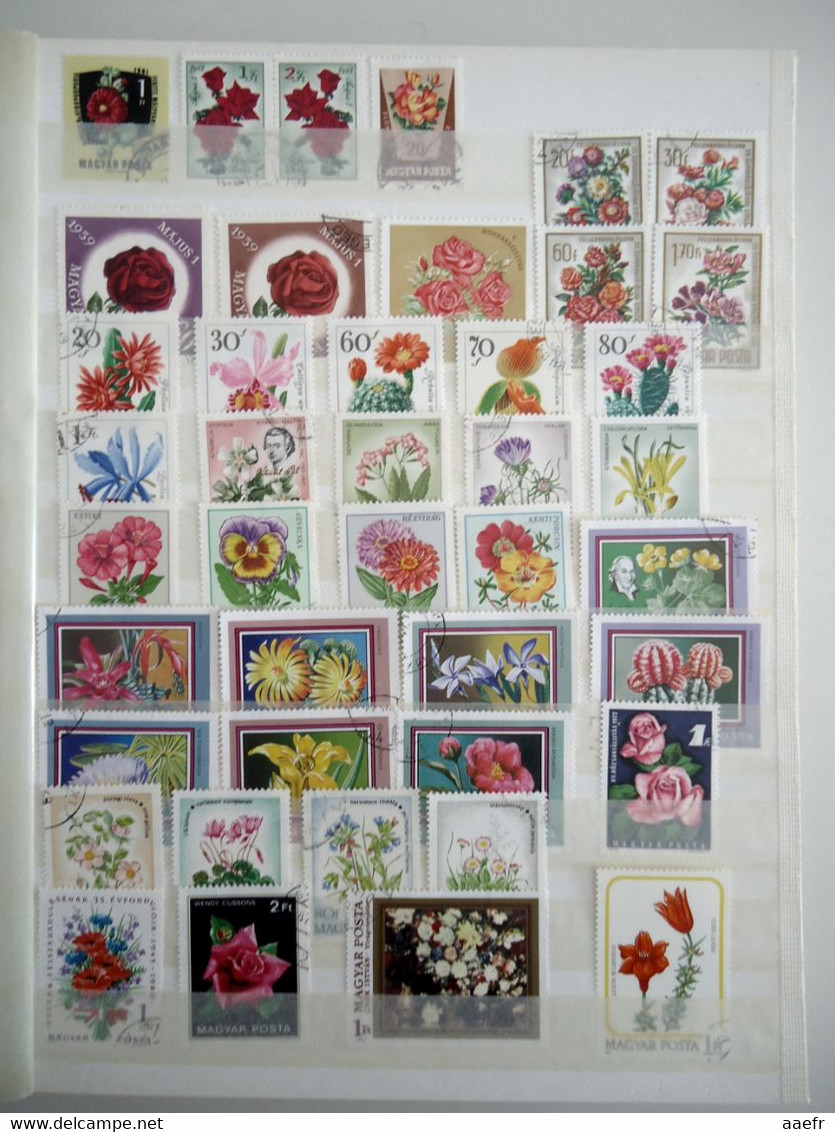 Monde - FLEURS - 1223 timbres différents dans un album + 8 cartes Max + 4 FDC