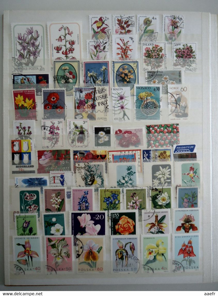 Monde - FLEURS - 1223 timbres différents dans un album + 8 cartes Max + 4 FDC