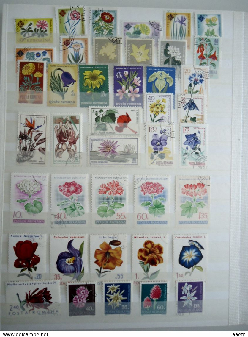 Monde - FLEURS - 1223 timbres différents dans un album + 8 cartes Max + 4 FDC