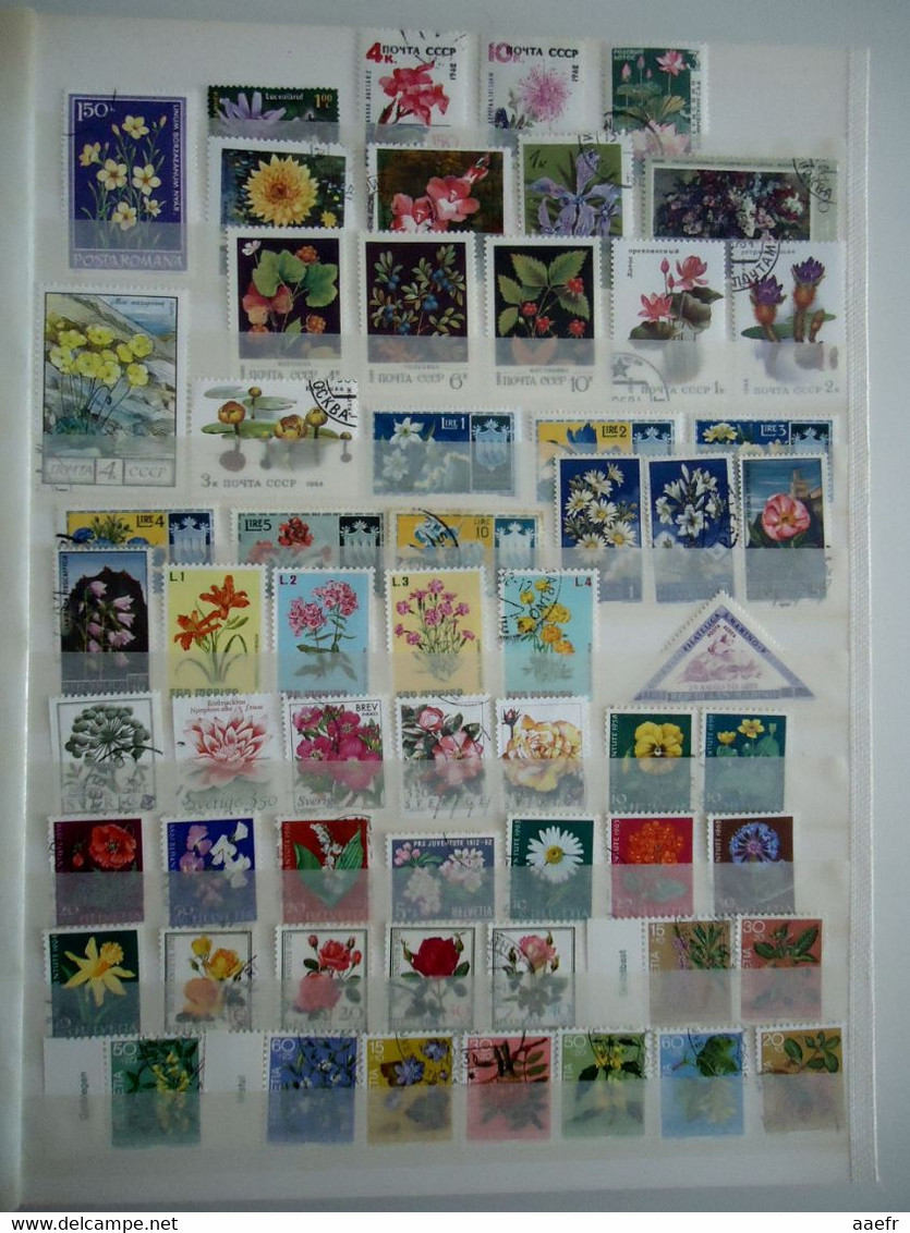 Monde - FLEURS - 1223 timbres différents dans un album + 8 cartes Max + 4 FDC