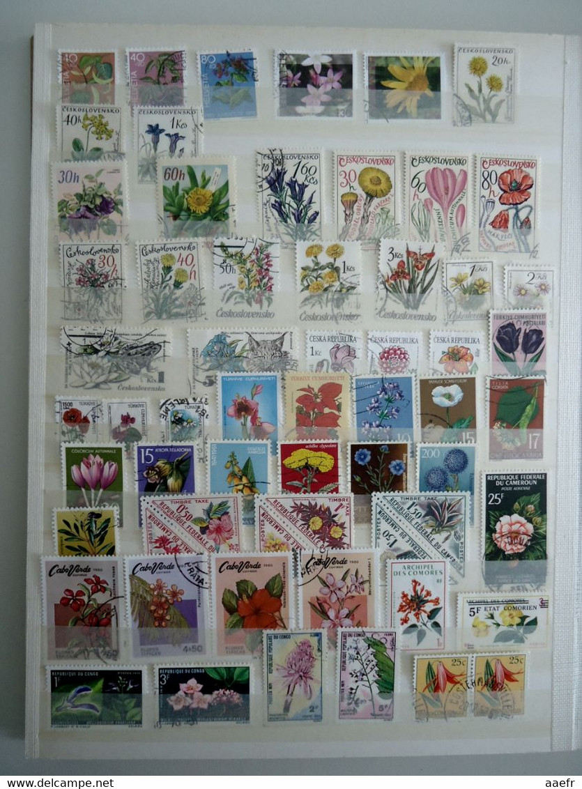 Monde - FLEURS - 1223 timbres différents dans un album + 8 cartes Max + 4 FDC