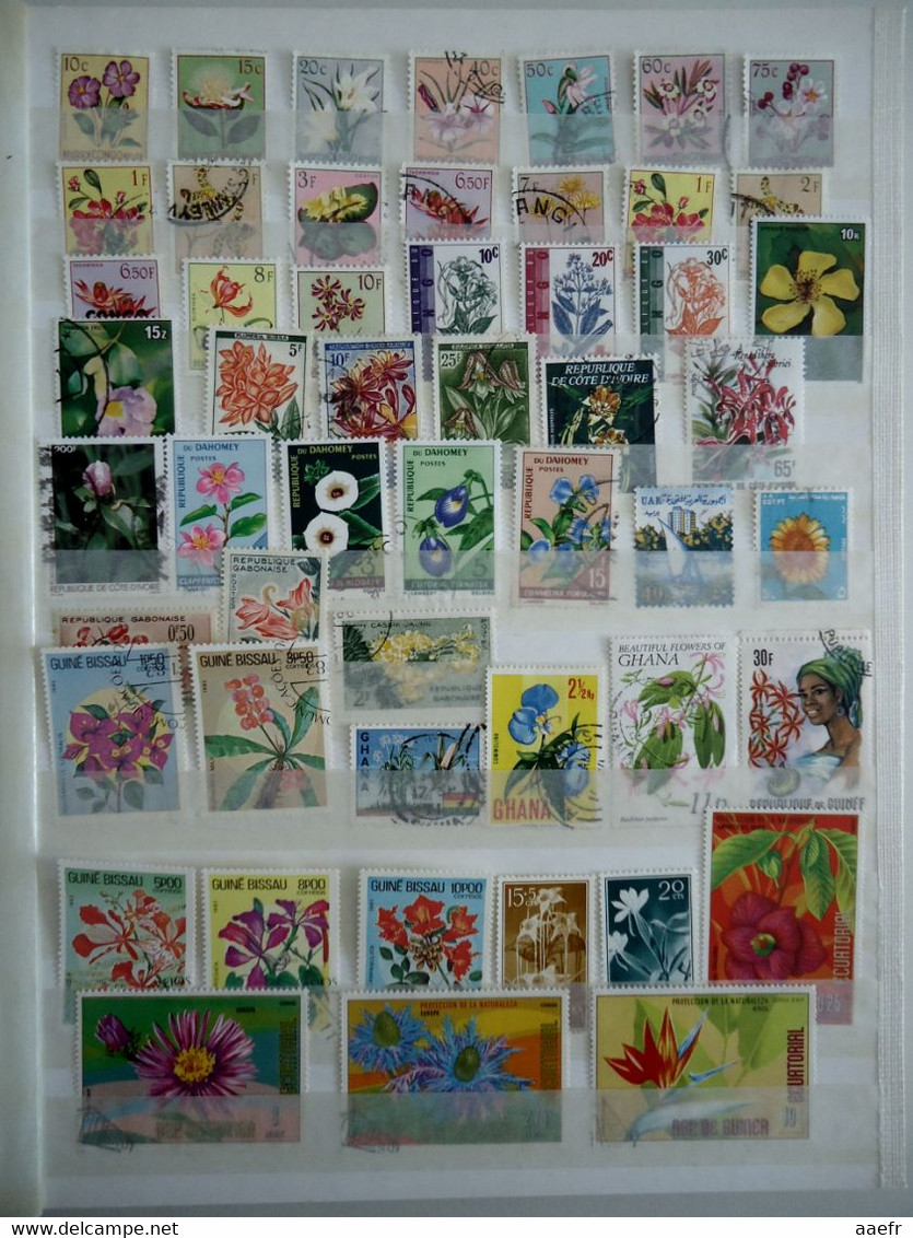 Monde - FLEURS - 1223 timbres différents dans un album + 8 cartes Max + 4 FDC