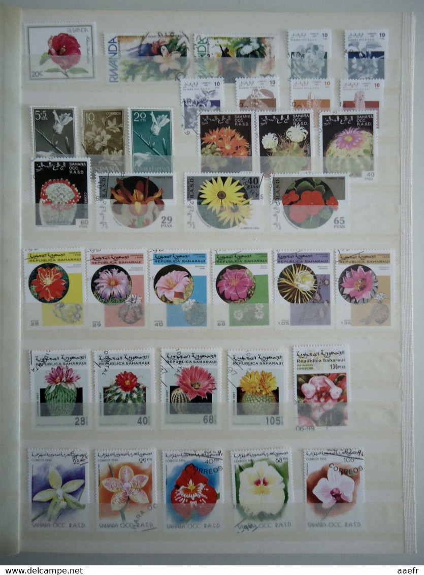 Monde - FLEURS - 1223 timbres différents dans un album + 8 cartes Max + 4 FDC