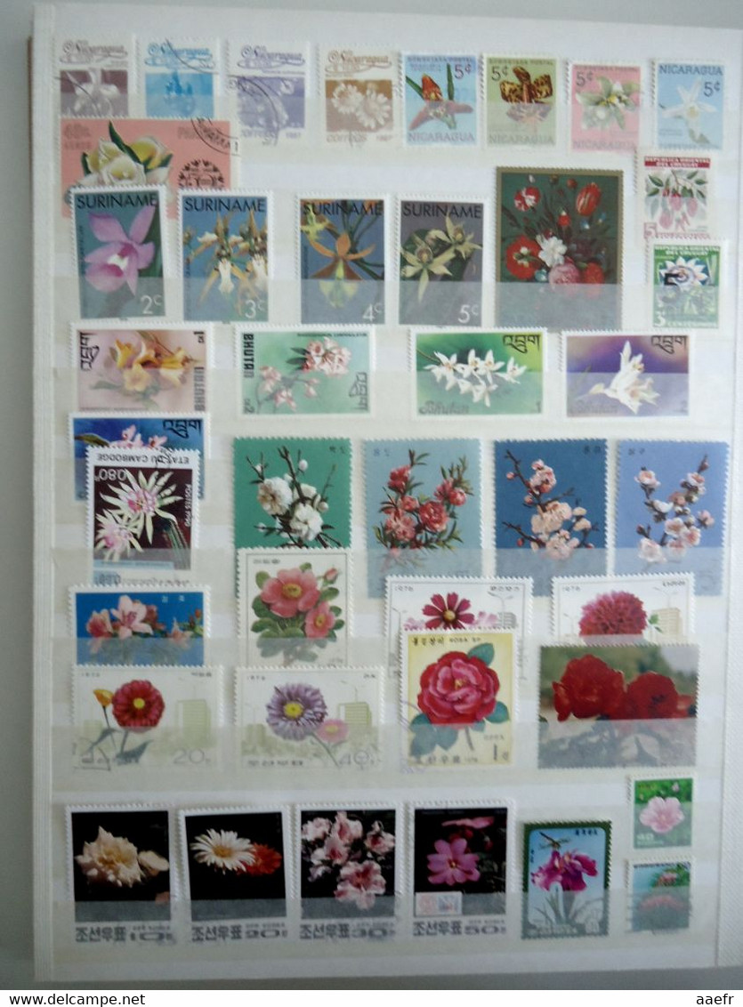 Monde - FLEURS - 1223 timbres différents dans un album + 8 cartes Max + 4 FDC