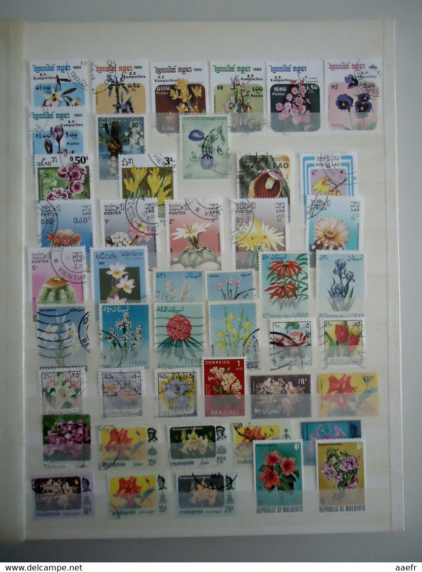 Monde - FLEURS - 1223 timbres différents dans un album + 8 cartes Max + 4 FDC