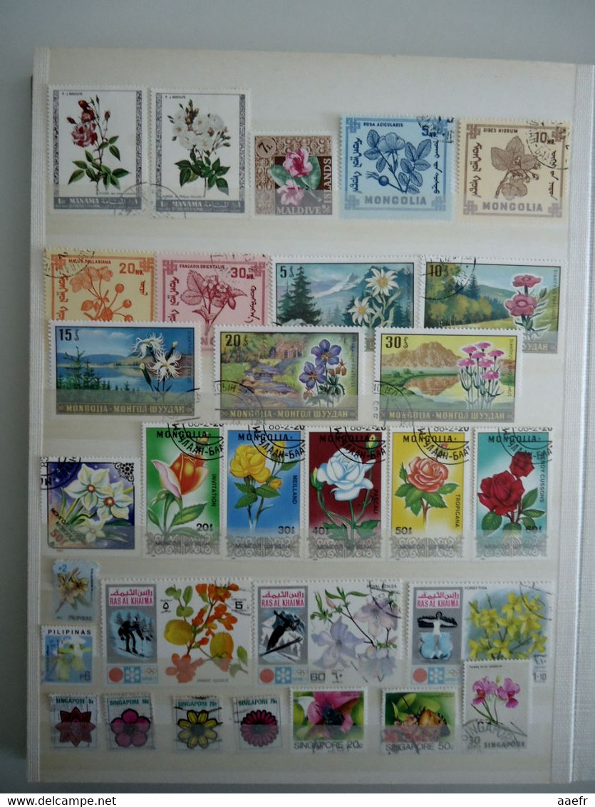 Monde - FLEURS - 1223 timbres différents dans un album + 8 cartes Max + 4 FDC