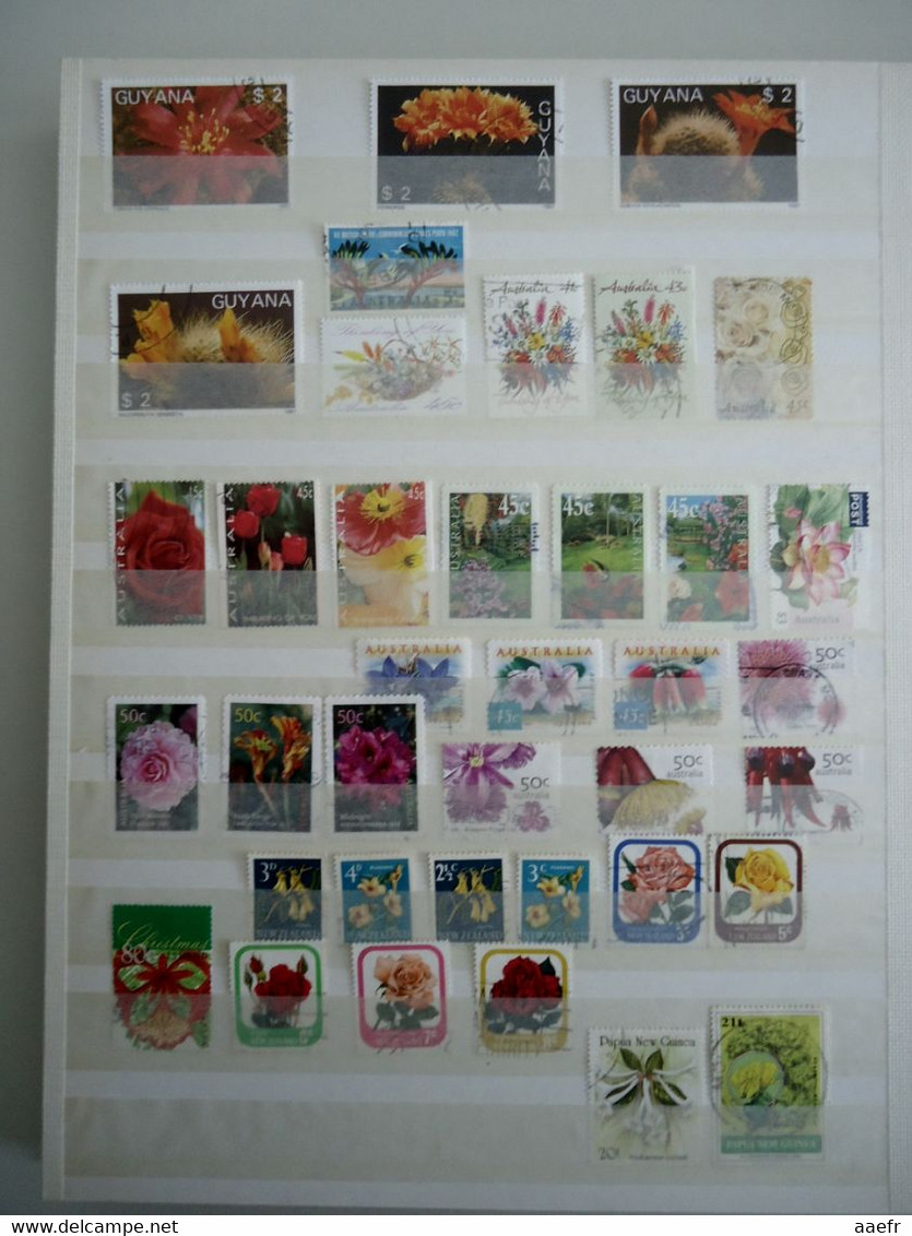 Monde - FLEURS - 1223 timbres différents dans un album + 8 cartes Max + 4 FDC