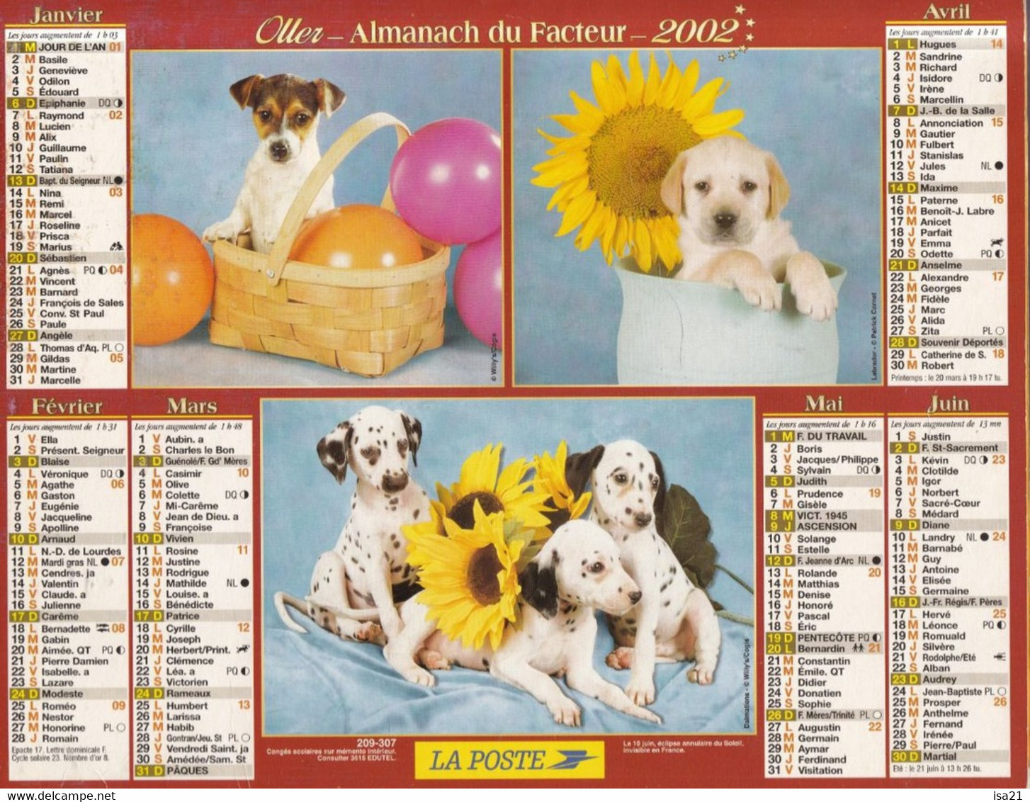 Calendrier De La Poste, Almanach Du Facteur: NORD, 2002: Chiots En Caisse, Panier, Pot,  Ed. Lavigne - Grand Format : 2001-...