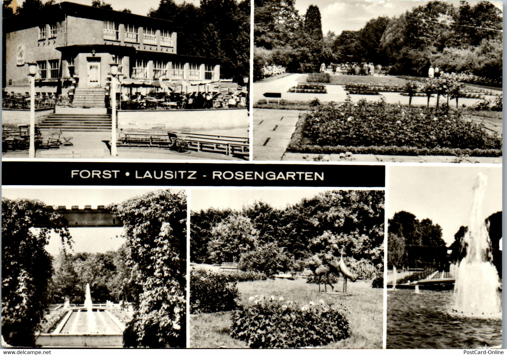 33482 - Deutschland - Forst , Lausitz , Rosengarten , Mehrbildkarte - Forst