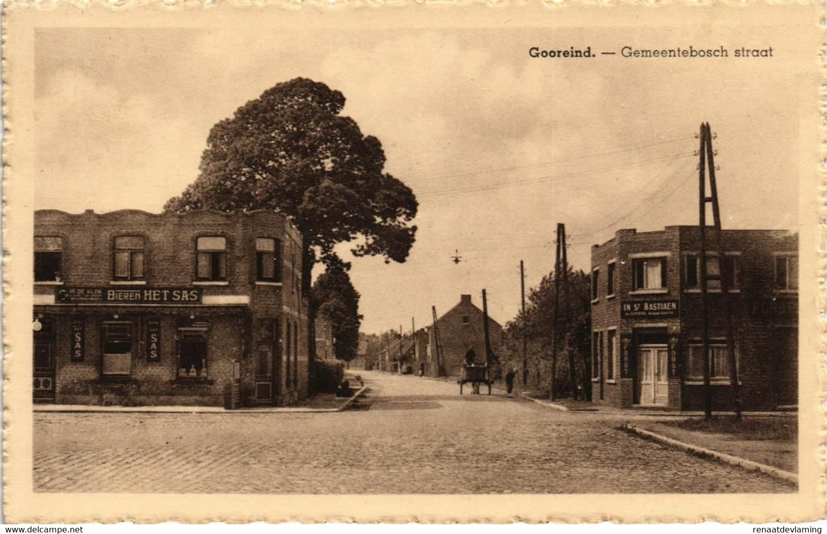 WUUSTWEZEL - GOOREIND - GEMEENTEBOSCH STRAAT - Wuustwezel